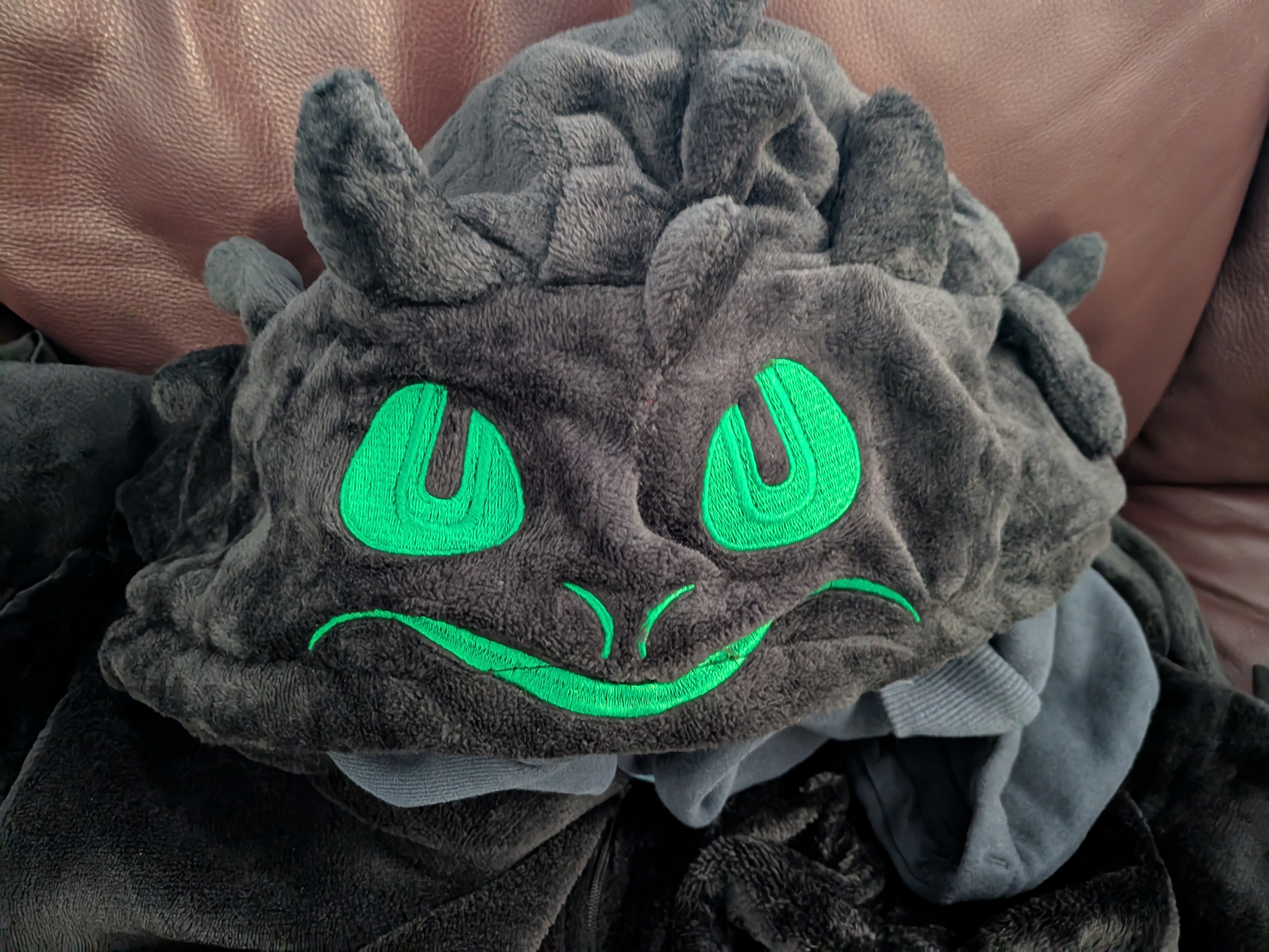 Toothless Onesie 